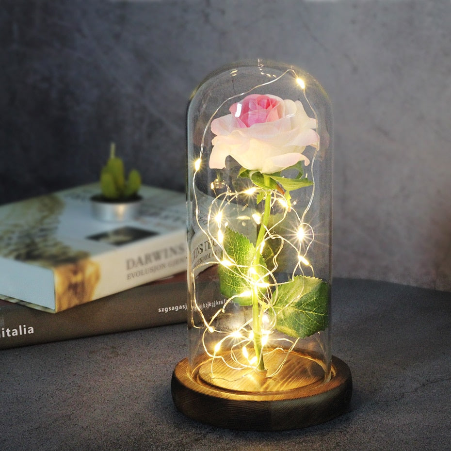 Eternal Rose  LED Light  In Glass Cover for Valentines Day Gift, Christmas Home Decor, Mothers Day,  & New Year Gift - OZN Shopping