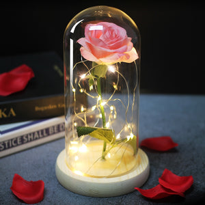 Eternal Rose  LED Light  In Glass Cover for Valentines Day Gift, Christmas Home Decor, Mothers Day,  & New Year Gift - OZN Shopping