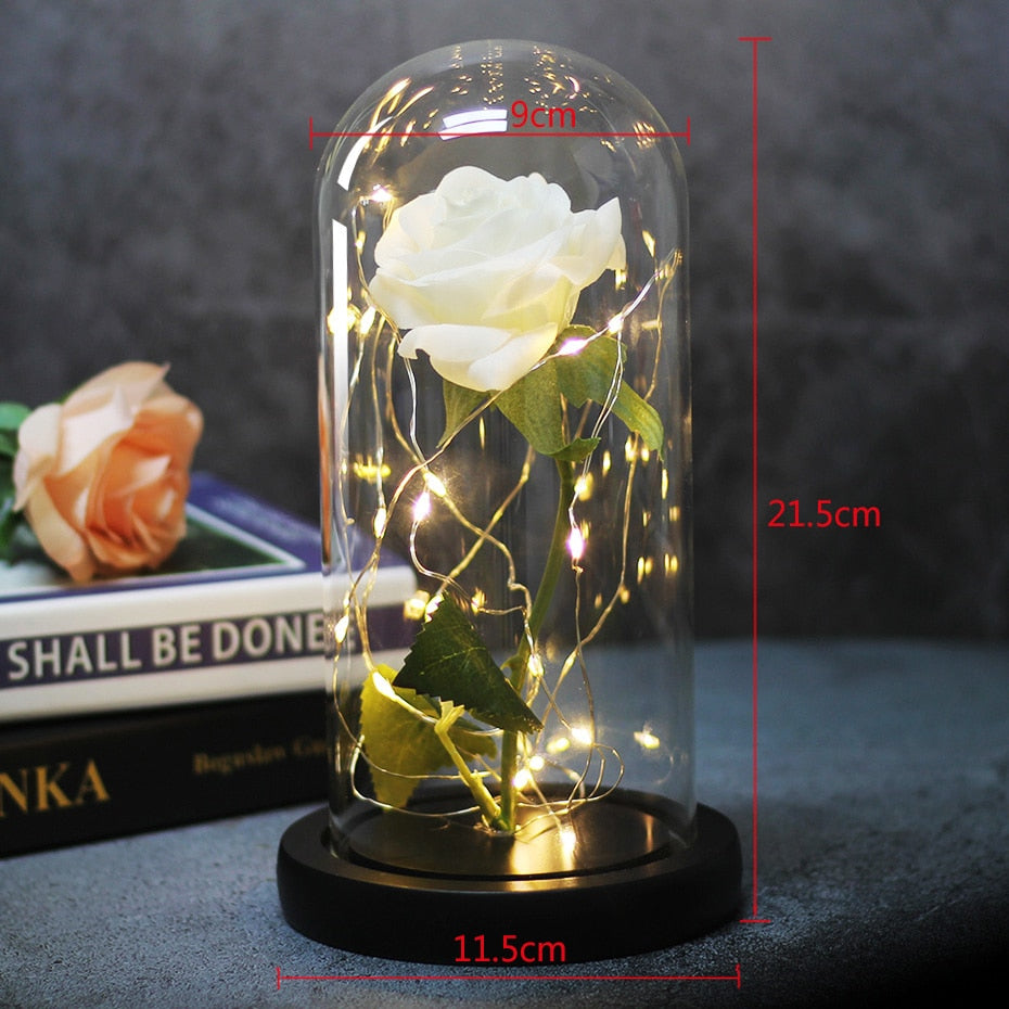 Eternal Rose  LED Light  In Glass Cover for Valentines Day Gift, Christmas Home Decor, Mothers Day,  & New Year Gift - OZN Shopping