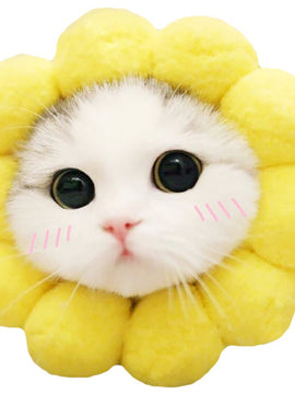 Cute Cat & Dogs Sunflower Head Cap - Hat