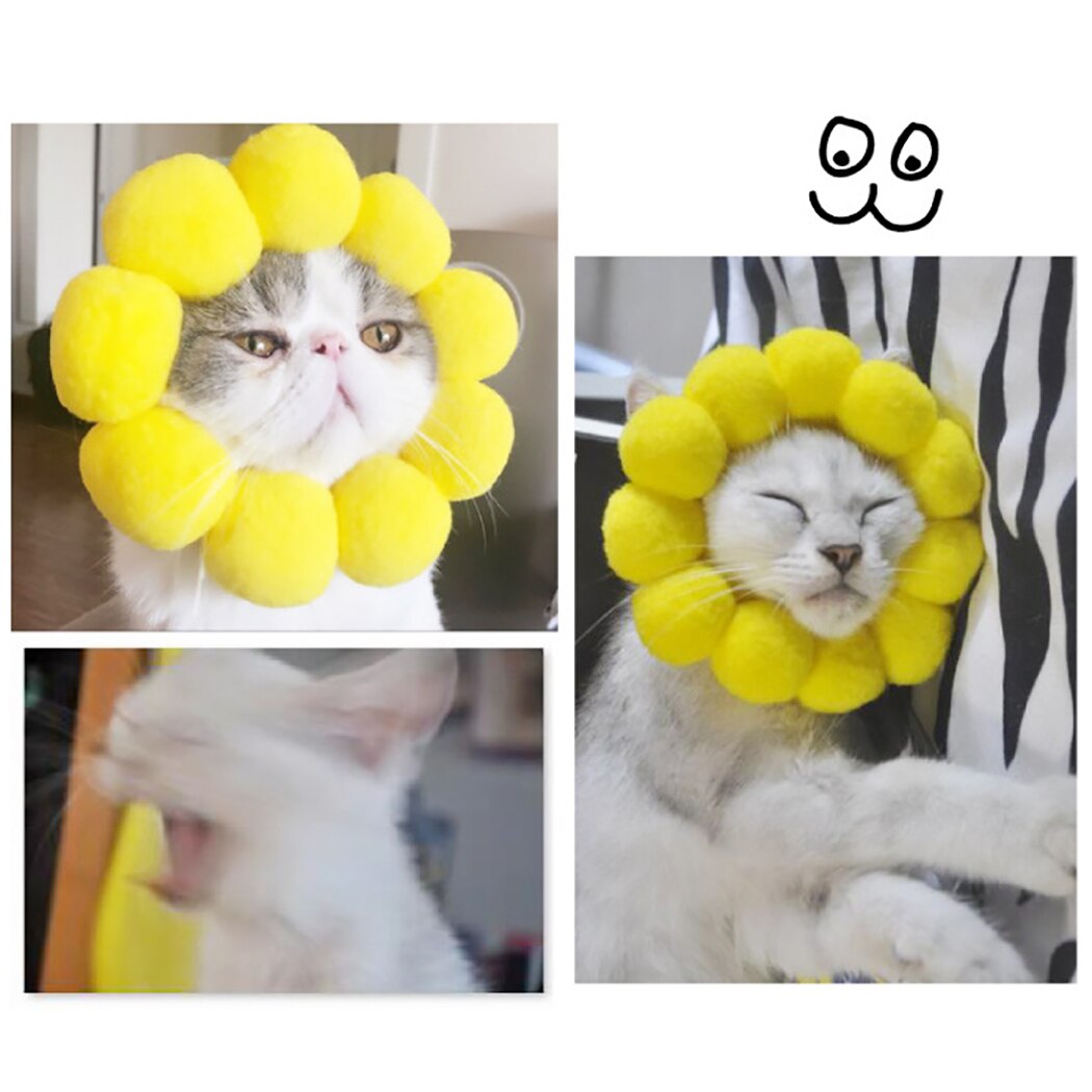 Cute Cat & Dogs Sunflower Head Cap - Hat - OZN Shopping