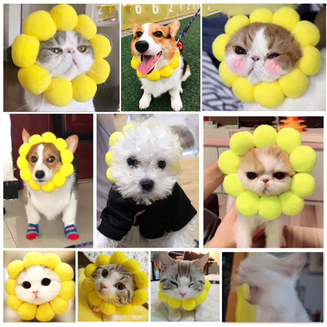 Cute Cat & Dogs Sunflower Head Cap - Hat - OZN Shopping