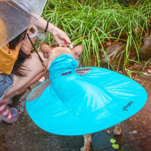 Dog Waterproof Raincoat - OZN Shopping
