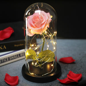 Eternal Rose  LED Light  In Glass Cover for Valentines Day Gift, Christmas Home Decor, Mothers Day,  & New Year Gift - OZN Shopping