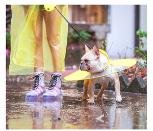 Dog Waterproof Raincoat - OZN Shopping