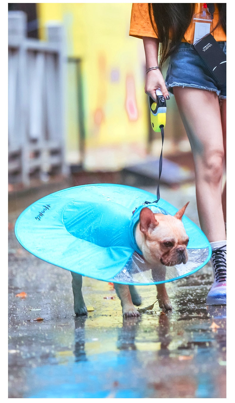 Dog Waterproof Raincoat - OZN Shopping