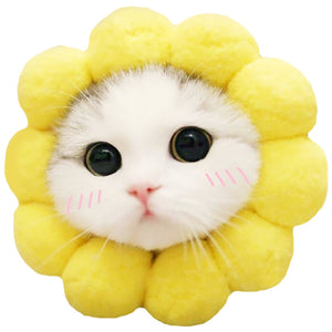 Cute Cat & Dogs Sunflower Head Cap - Hat - OZN Shopping