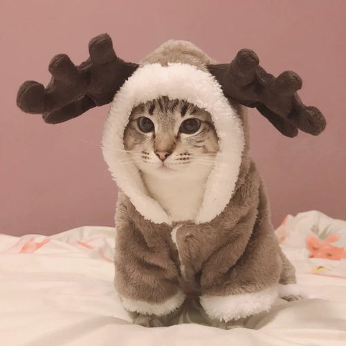 Winter Cat Clothes Warm Fleece Pet Costume For Small Cats Kitten Jumpsuits Clothing Cat Coat Jacket Pets Dog Clothes - OZN Shopping