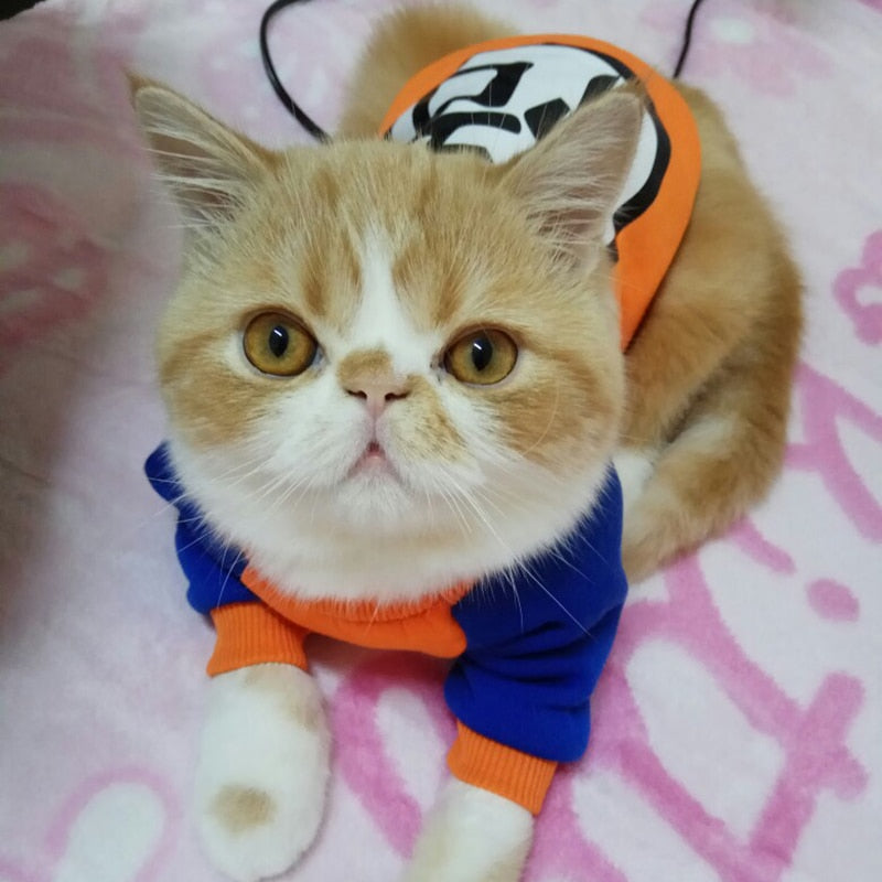 Cat Clothes Costume Pet Swaetshirt