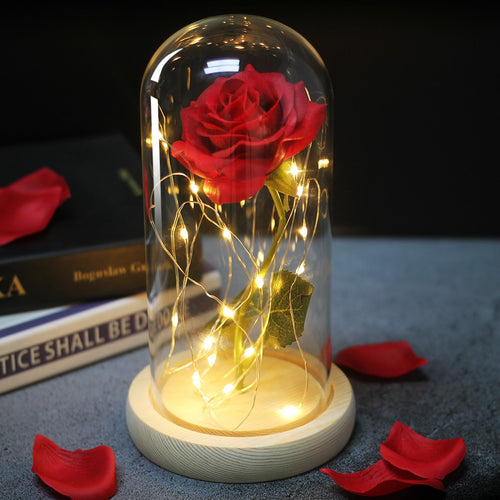Eternal Rose  LED Light  In Glass Cover for Valentines Day Gift, Christmas Home Decor, Mothers Day,  & New Year Gift - OZN Shopping
