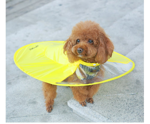 Dog Waterproof Raincoat - OZN Shopping