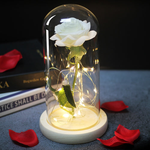 Eternal Rose  LED Light  In Glass Cover for Valentines Day Gift, Christmas Home Decor, Mothers Day,  & New Year Gift - OZN Shopping