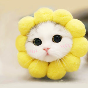 Cute Cat & Dogs Sunflower Head Cap - Hat - OZN Shopping