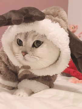 Winter Cat Clothes Warm Fleece Pet Costume For Small Cats Kitten Jumpsuits Clothing Cat Coat Jacket Pets Dog Clothes