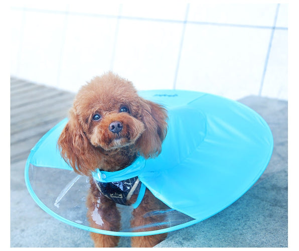 Dog Waterproof Raincoat - OZN Shopping