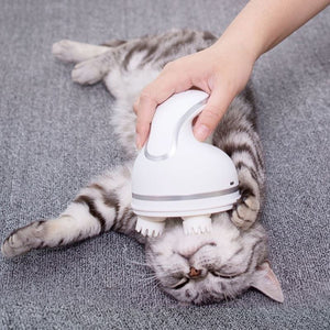 Electric Cat Head Massager Dog Pet Massage Machine Vibrating Scalp Charging Kneading Health Care Cat Comb Supplies Accessories - OZN Shopping