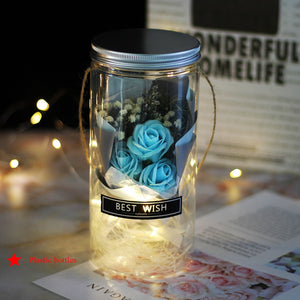 Eternal Rose  LED Light  In Glass Cover for Valentines Day Gift, Christmas Home Decor, Mothers Day,  & New Year Gift - OZN Shopping