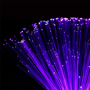 Fibre Optic LED Lamp - OZN Shopping