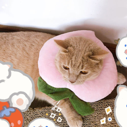 Cats & Dogs Cute Hat