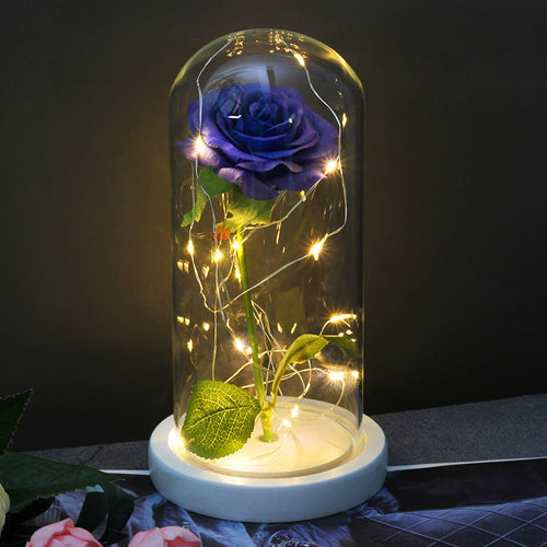 Eternal Rose  LED Light  In Glass Cover for Valentines Day Gift, Christmas Home Decor, Mothers Day,  & New Year Gift - OZN Shopping