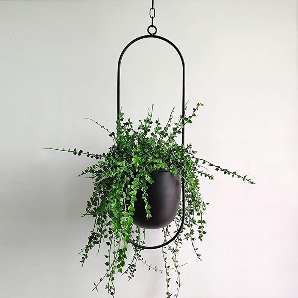 Hanging Flower Pot Decorative  Wall Hanging Flower Pot - OZN Shopping