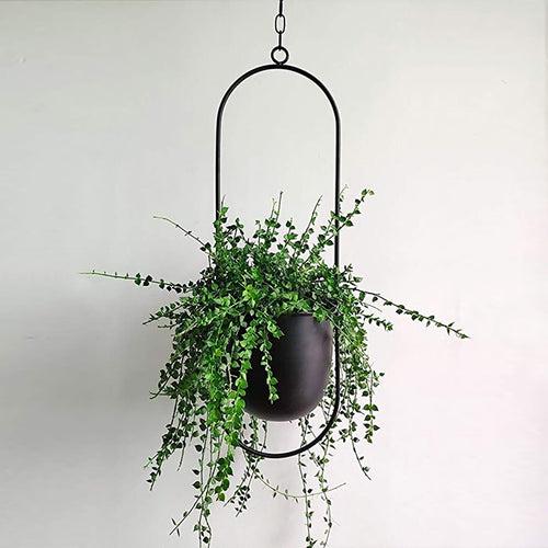 Hanging Flower Pot Decorative  Wall Hanging Flower Pot - OZN Shopping