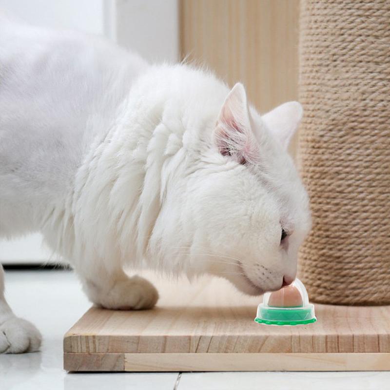 Cat Sugar Ball Cat Snacks Candy Licking Solid Nutrition Cat Treats Energy Ball Toy With Natural Catnip And Sucker For Cats - OZN Shopping