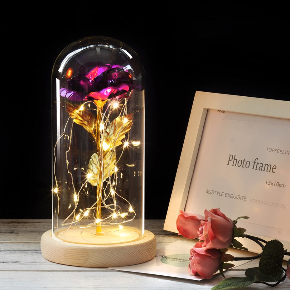 Eternal Rose  LED Light  In Glass Cover for Valentines Day Gift, Christmas Home Decor, Mothers Day,  & New Year Gift - OZN Shopping