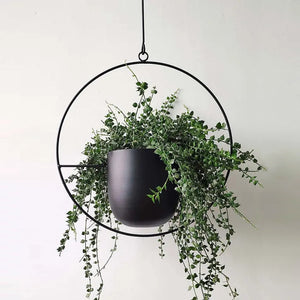 Hanging Flower Pot Decorative  Wall Hanging Flower Pot - OZN Shopping