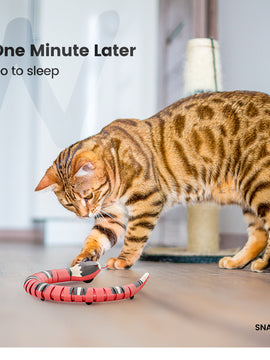 Smart Sensing Snake Cat Toys