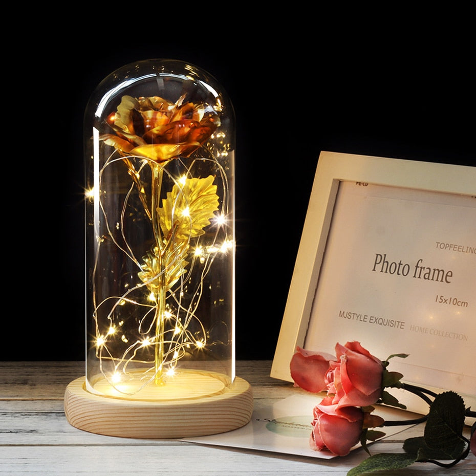 Eternal Rose  LED Light  In Glass Cover for Valentines Day Gift, Christmas Home Decor, Mothers Day,  & New Year Gift - OZN Shopping