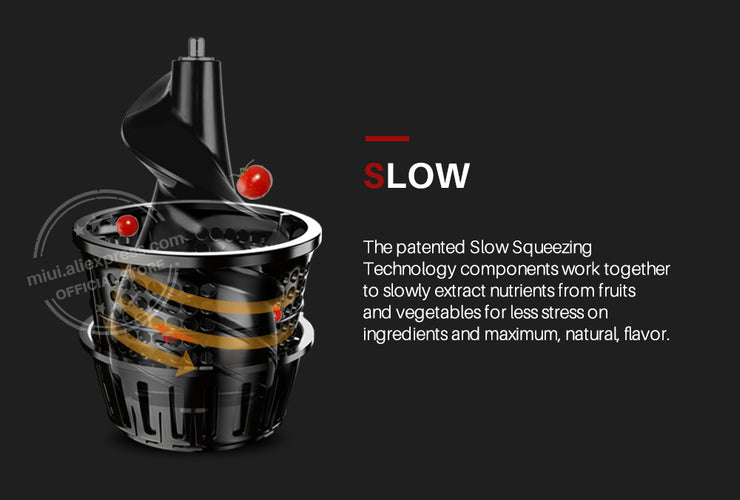 Fruit Juicer Press Extractor Machine Blender - OZN Shopping