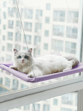 Cat Hanging Beds - Cat Hammock