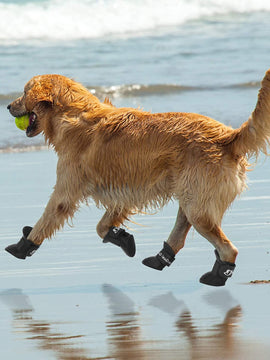 Dogs Rainshoes  ( Waterproof )