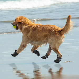 Dogs Rainshoes  ( Waterproof ) - OZN Shopping