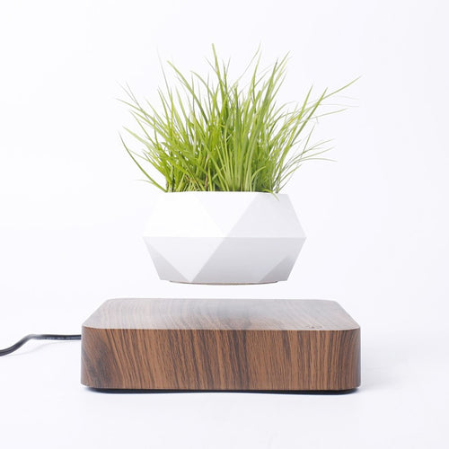Floating Plants Home Decor - OZN Shopping