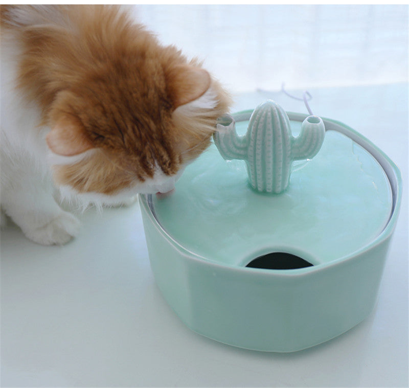 Cactus Shape Cats Water Fountain for Pets