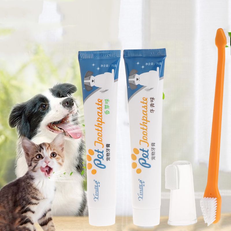 Cat Tooth Brush + Tooth paste Oral Hygine Kit / Pets & Dogs - OZN Shopping