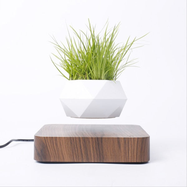 Floating Plants Home Decor - OZN Shopping