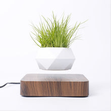 Load image into Gallery viewer, Floating Plants Home Decor - OZN Shopping
