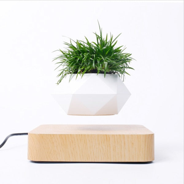 Floating Plants Home Decor - OZN Shopping