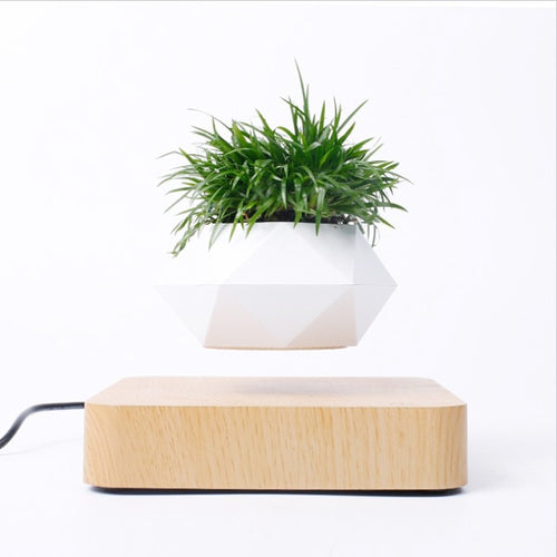 Floating Plants Home Decor - OZN Shopping