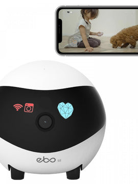 Smart Ball Robot Video Cam
