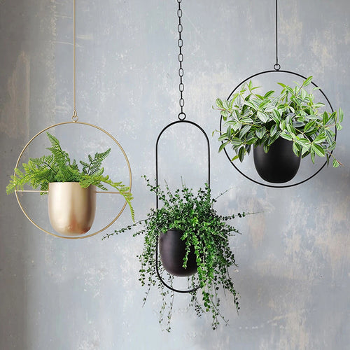 Hanging Flower Pot Decorative  Wall Hanging Flower Pot - OZN Shopping