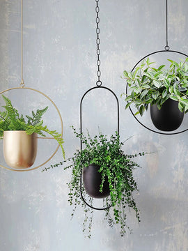 Hanging Flower Pot Decorative  Wall Hanging Flower Pot