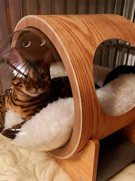 Capsule Pet Bed