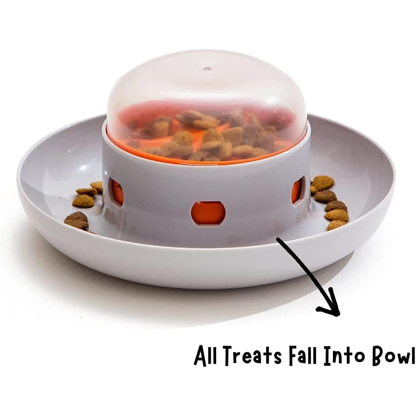 Dog Cat Slow Feeder Bowl Pet Food