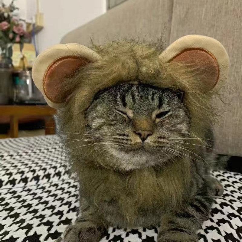 Cat Lion Head Cap Wig