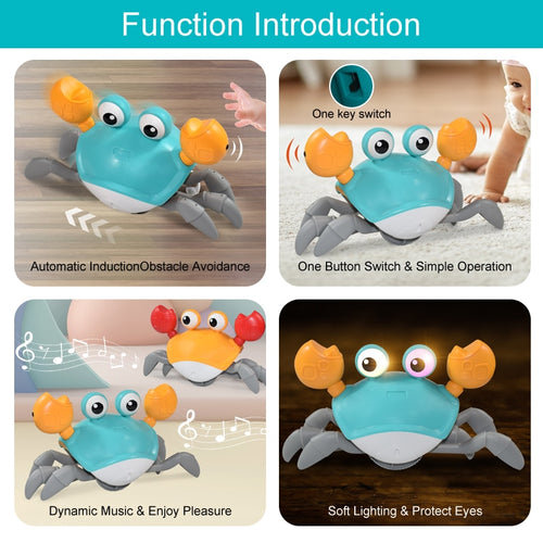 Crab Toys Musical Pet Toy