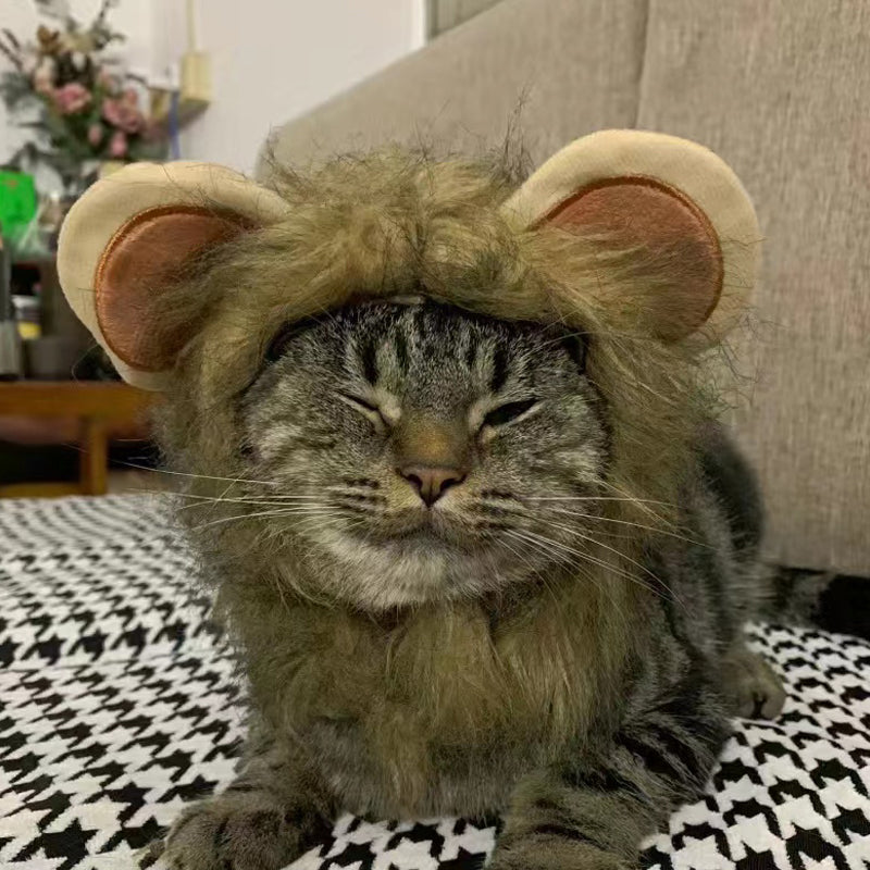 Cat Lion Head Cap Wig
